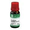 Aconitum Arcana LM 12 Dilution, 10 ml