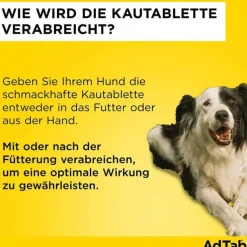 AdTab™ Kautabletten für große Hunde 450 mg 11 bis 22 kg, 3 St