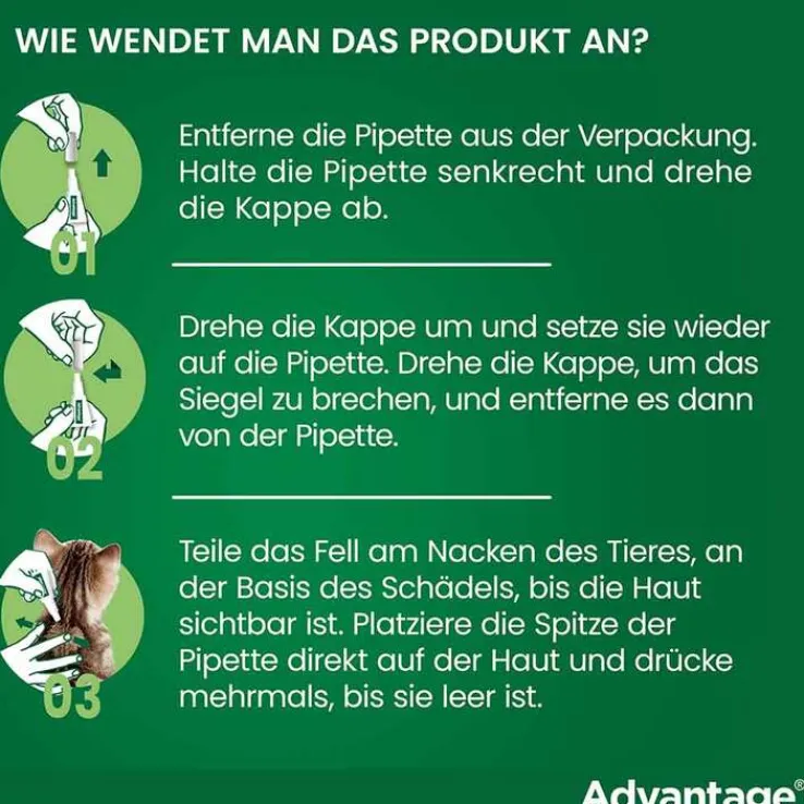 Advantage 80 für große Katzen und Zierkaninchen ab 4 kg, 4X0.8 ml