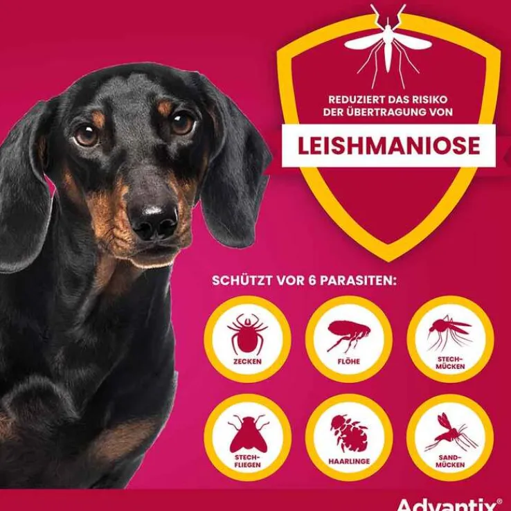 Advantix Spot-on Hund 4 - 10 kg Lösung, 4 St