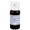 Aesculus Cortex äth.Decoct.D 1 Dilution, 50 ml