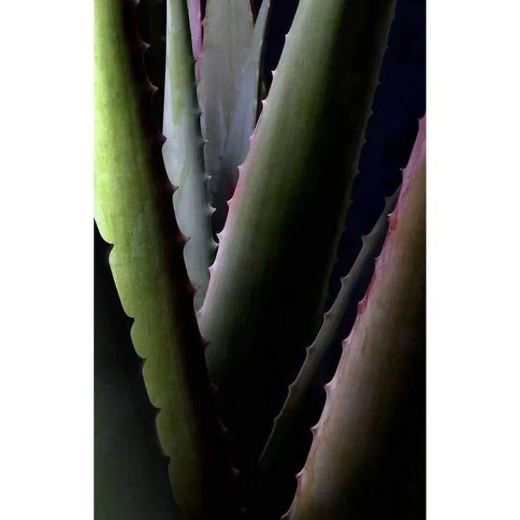 Aloe Vera Extra rich cream mask, 30 ml