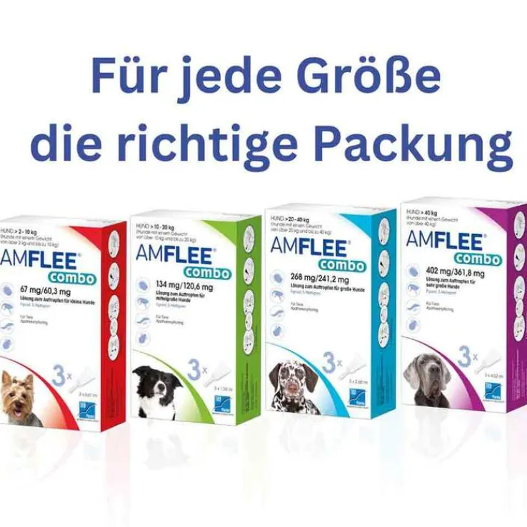 Amflee combo 67/60,3 mg Lösung zum Auftropfen für Hunde 2-10 kg, 3 St