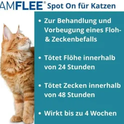 Amflee 50 mg Spot-On für Katzen, 3 St