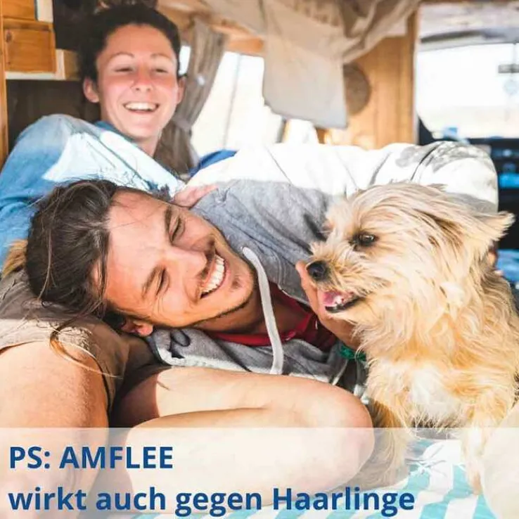 Amflee 402 mg Spot-On für sehr große Hunde, 3 St