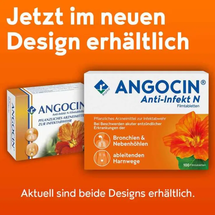 ANGOCIN Anti-Infekt N Filmtabletten, 100 St