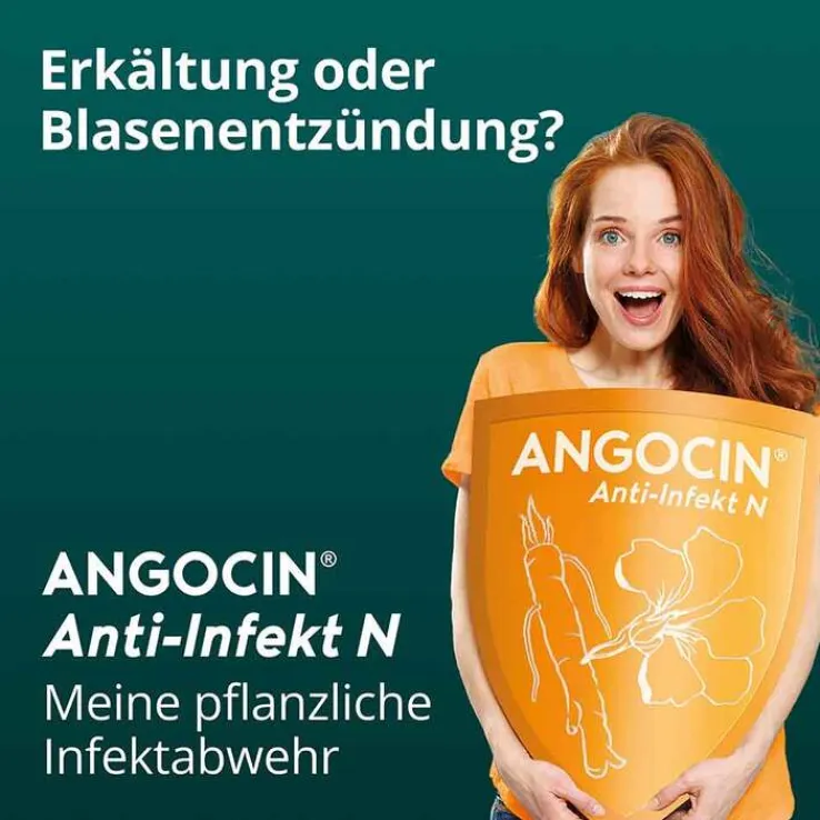ANGOCIN Anti-Infekt N Filmtabletten, 500 St