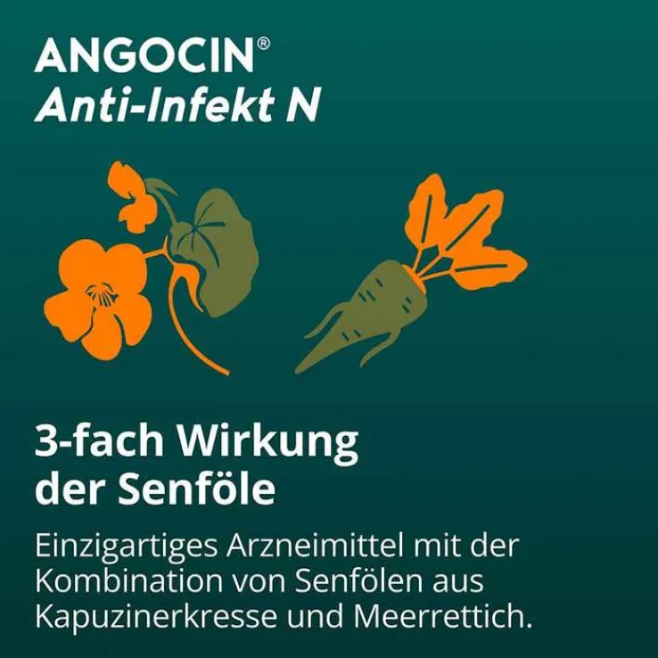 ANGOCIN Anti-Infekt N Filmtabletten, 200 St