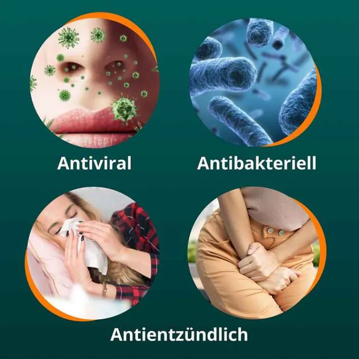 ANGOCIN Anti-Infekt N Filmtabletten, 200 St