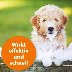 Ardap Anti-Zecken Shampoo für Hunde, 250 ml