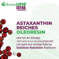 Armolipid Extra Tabletten mit Artischocke, 60 St