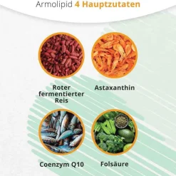 Armolipid Tabletten, 30 St