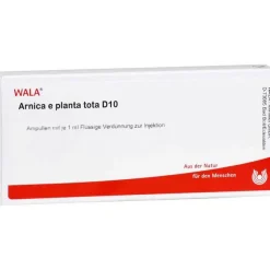 Arnica E Planta tota D 10 Ampullen, 10X1 ml