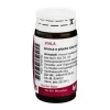 Arnica E Planta tota D 4 Globuli, 20 g