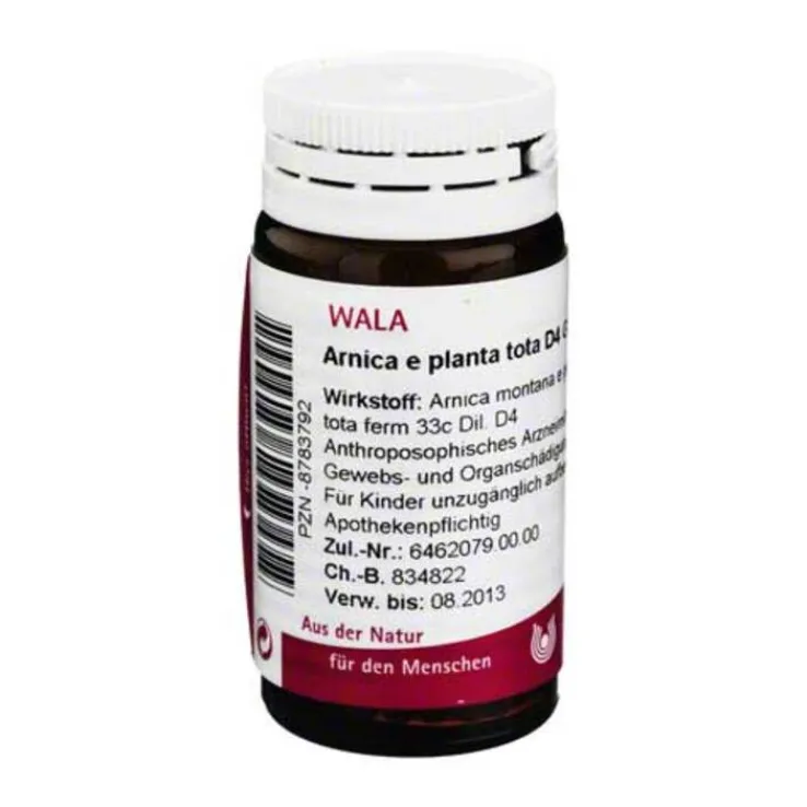 Arnica E Planta tota D 4 Globuli, 20 g