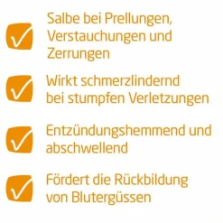 Arnika-Salbe 30% zur Behandlung stumpfer Verletzungen, 25 g