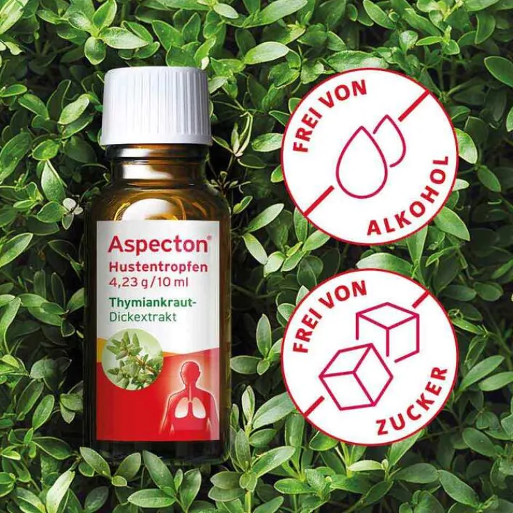 Aspecton® Hustentropfen, 50 ml