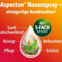 Aspecton® Nasenspray, 20 ml