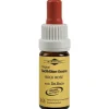 Bachblüten Murnauer Tropfen Rock Rose, 20 ml