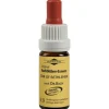 Bachblüten Murnauer Tropfen Star of Bethlehem, 20 ml