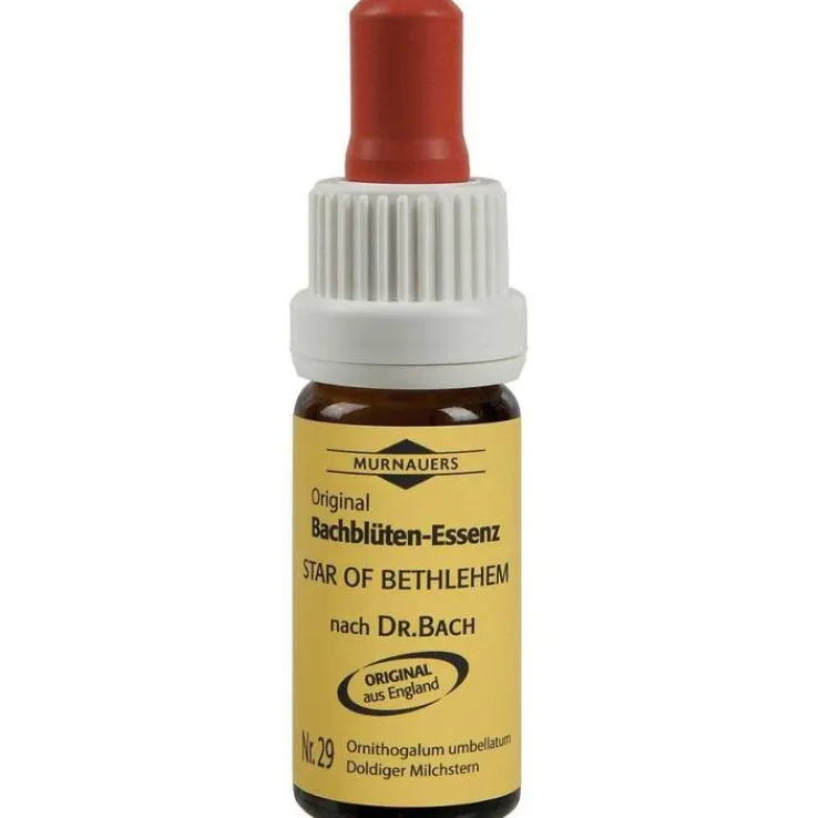 Bachblüten Murnauer Tropfen Star of Bethlehem, 20 ml