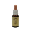 Bachblüten Murnauer Tropfen White Chestnut, 20 ml