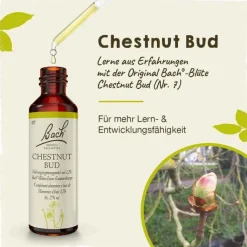 Bachblüten Nr. 7 Chestnut Bud Tropfen, 20 ml