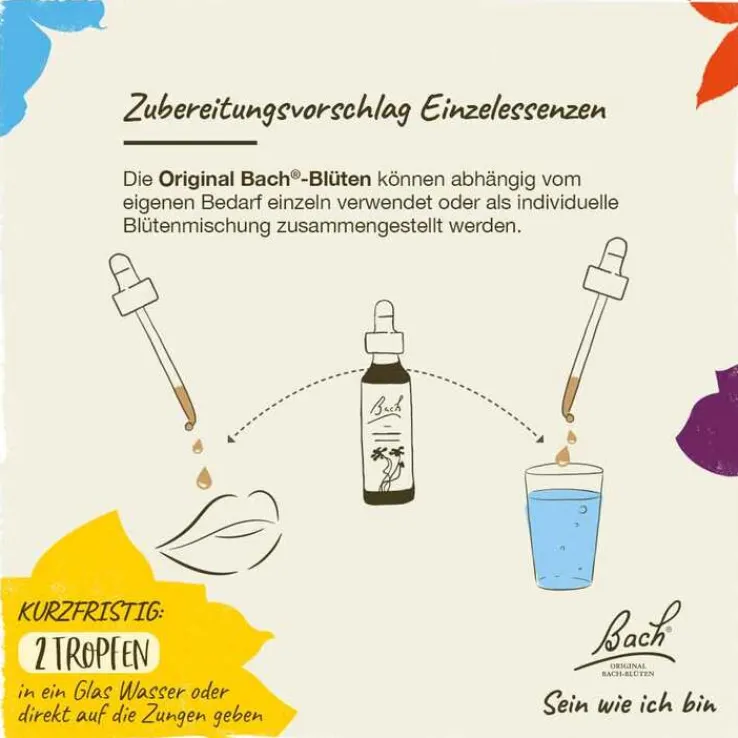 Bachblüten Nr. 11 Elm Tropfen, 20 ml