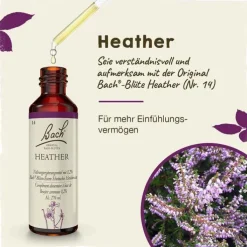 Bachblüten Nr. 14 Heather Tropfen, 20 ml