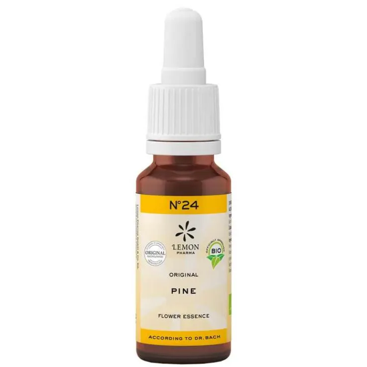 Bachblüte No.24 Pine Bio, 20 ml
