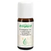Bio Eukalyptus-Öl, 10 ml