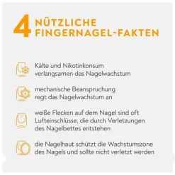 Bio-H-Tin Nagelcreme Plus, 8 ml