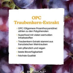 Biotanicals OPC Traubenkernextrakt Kapseln, 150 St