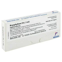 Bryophyllum 5% 1 ml Injektionslösung, 8X1 ml