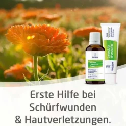 Calendula Wundsalbe bei Schürfwunden und Hautverletzungen, 25 g