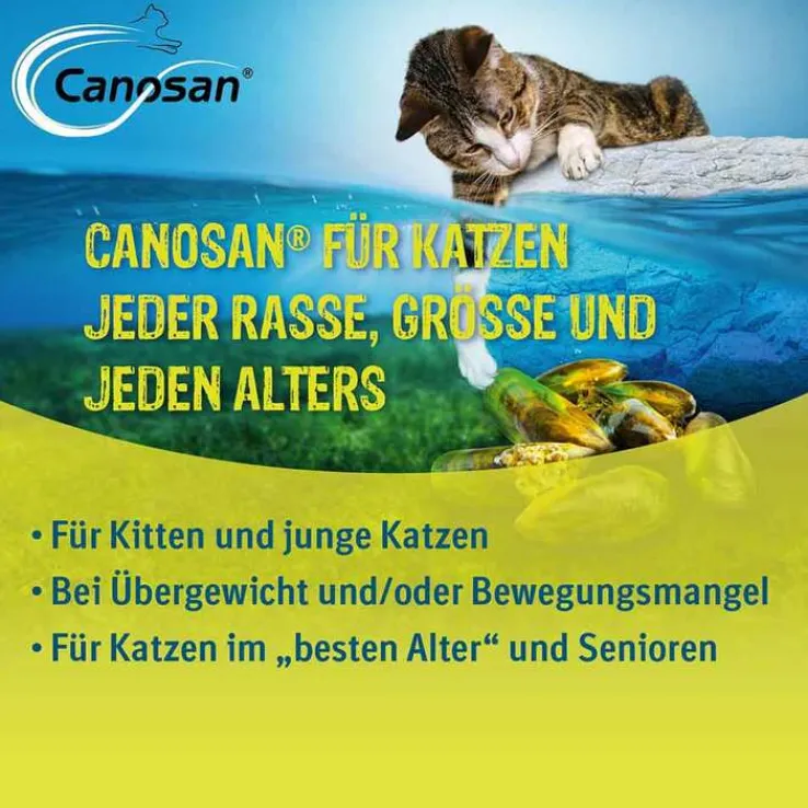 Canosan Katze Kautabletten, 30 St