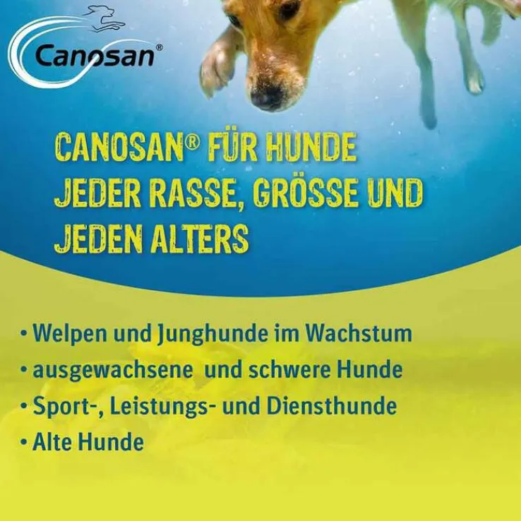 Canosan Konzentrat, 650 g