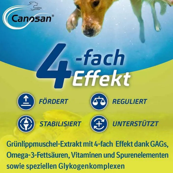 Canosan Konzentrat, 650 g