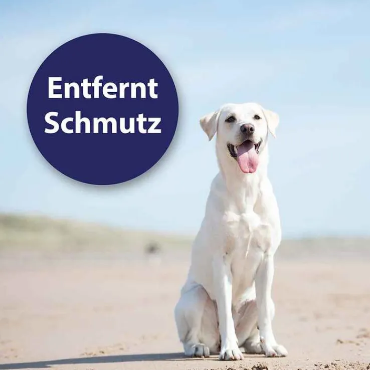Canosept Ohrpflege Finger-Pads für Hunde, 50 St