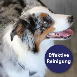 Canosept Zahnpflegespray für Hunde, 100 ml