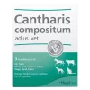 Cantharis Compositum Ampullen vet. (für Tiere), 5 St