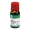 Carbo vegetabilis Arcana LM 6 Dilution, 10 ml