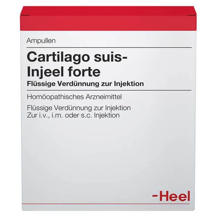 Cartilago suis Injeel forte Ampullen, 10 St