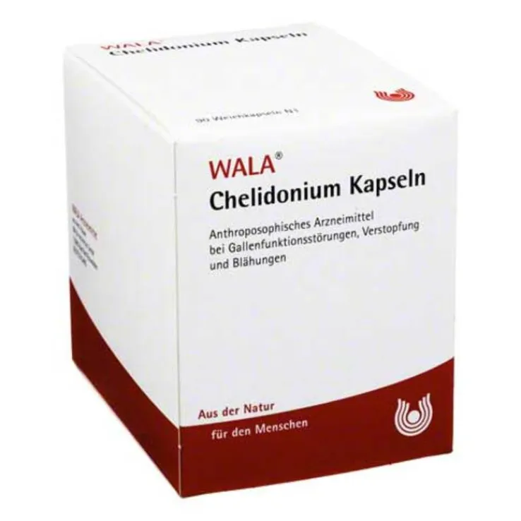 Chelidonium Kapseln, 90 St