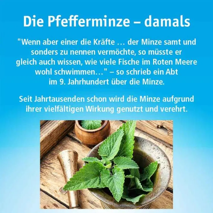 China Oel mit 3 Inhalatoren, 100 ml