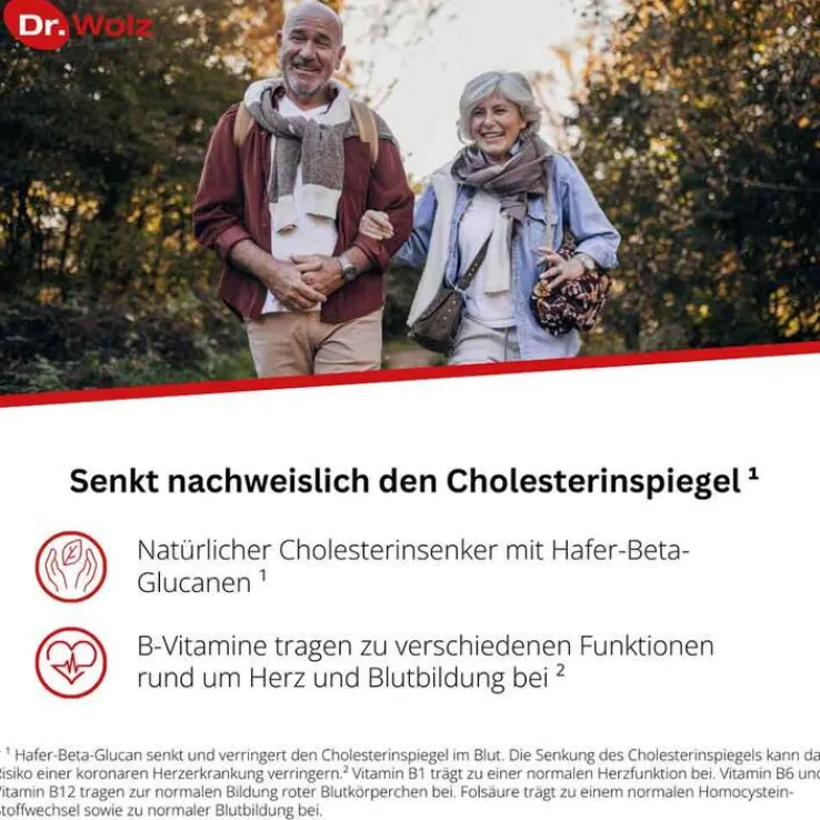 Cholesterinreduktion Dr. Wolz Pulver, 224 g