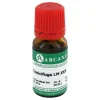 Cimicifuga Arcana LM 30 Dilution, 10 ml