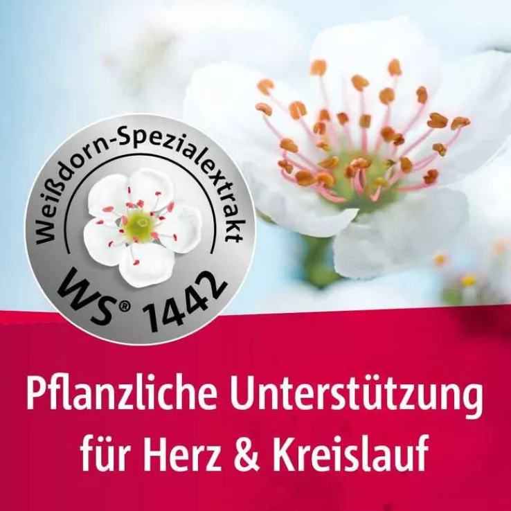 Crataegutt® 450 mg Herz-Kreislauf-Tabletten, 2x200 St