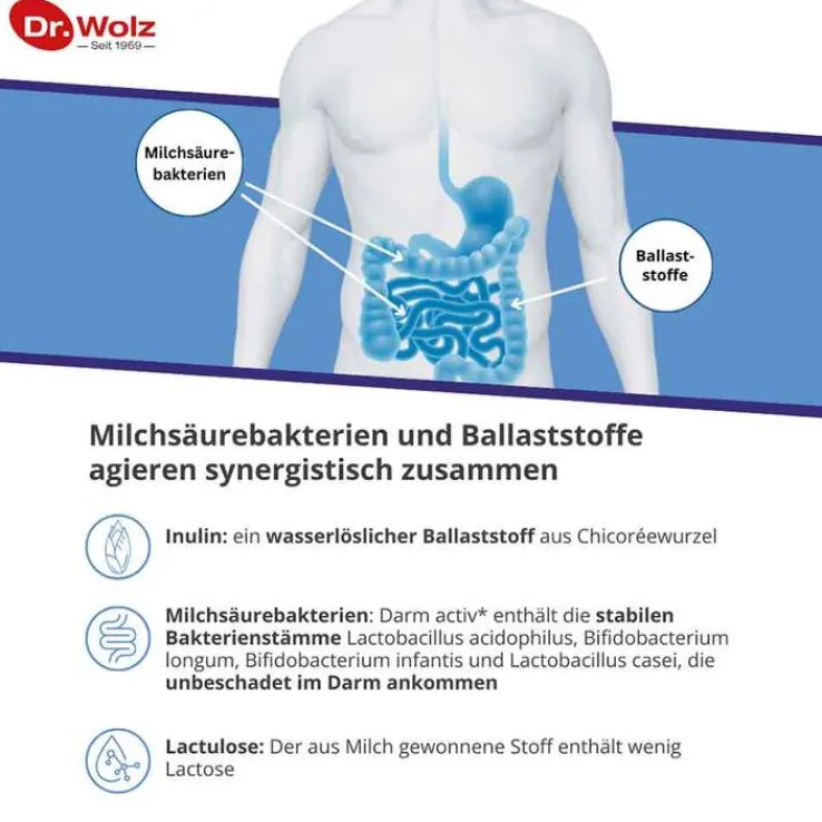 Darm Activ Dr. Wolz Pulver, 400 g