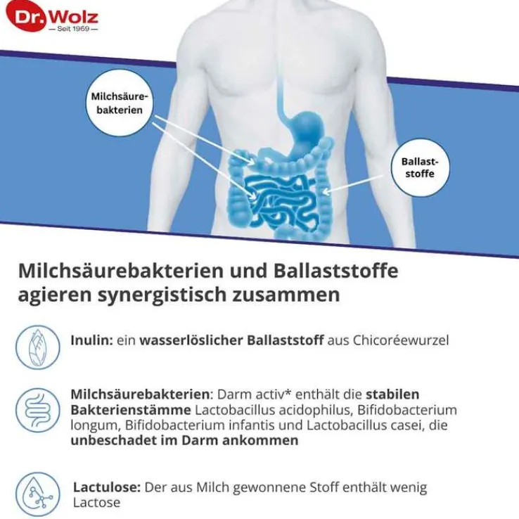 Darm Activ Dr. Wolz Pulver, 209 g